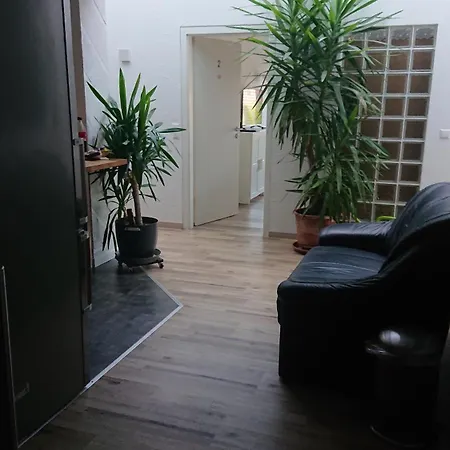 New York הוהנשטיין-ארנסתל