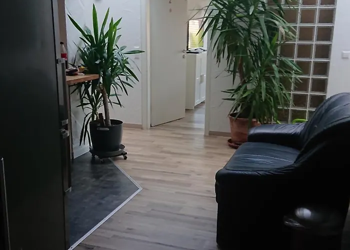 New York Hohenstein-Ernstthal